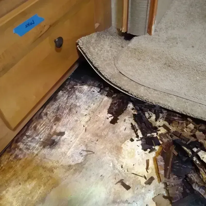 Best Wood Floor Water Damage Service in Adams County, IA